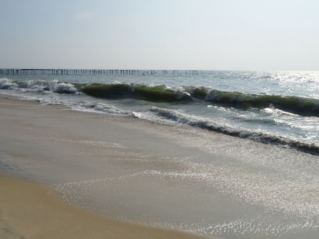 Alleppey
